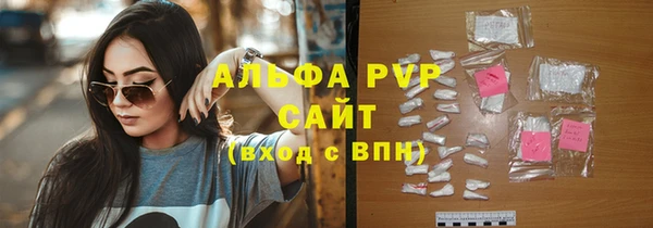 шишки Михайловск