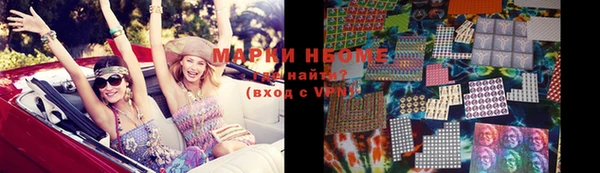 шишки Михайловск